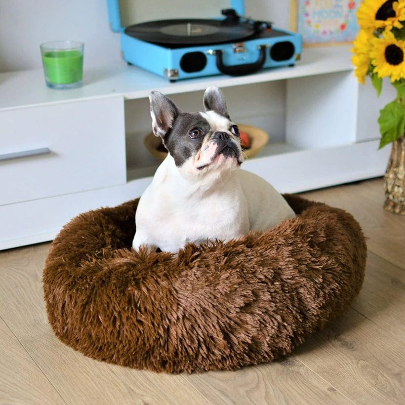 Fluffy Huisdierenbed met Verhoogde Rand en Machinewasbaar Ontwerp voor Comfort en Veiligheid 0