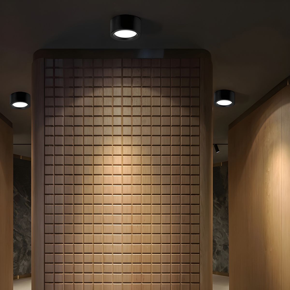 Moderne Zwarte Plafondlamp met Geïntegreerd LED-Licht en Minimalistisch Ontwerp 9