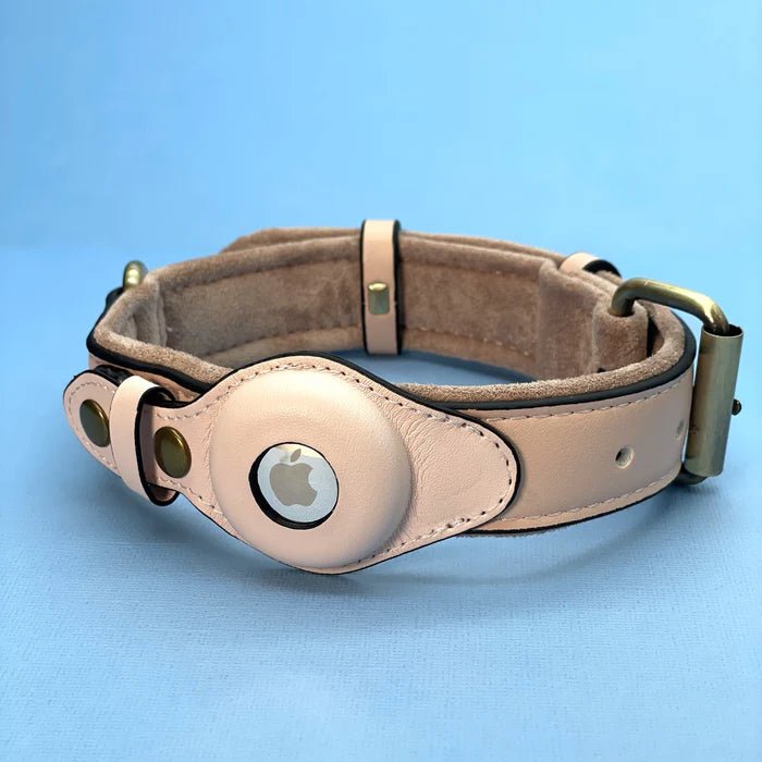 Premium Hondenkraag voor Airtag - Duurzaam Waterdicht en Comfortabel voor Honden 4