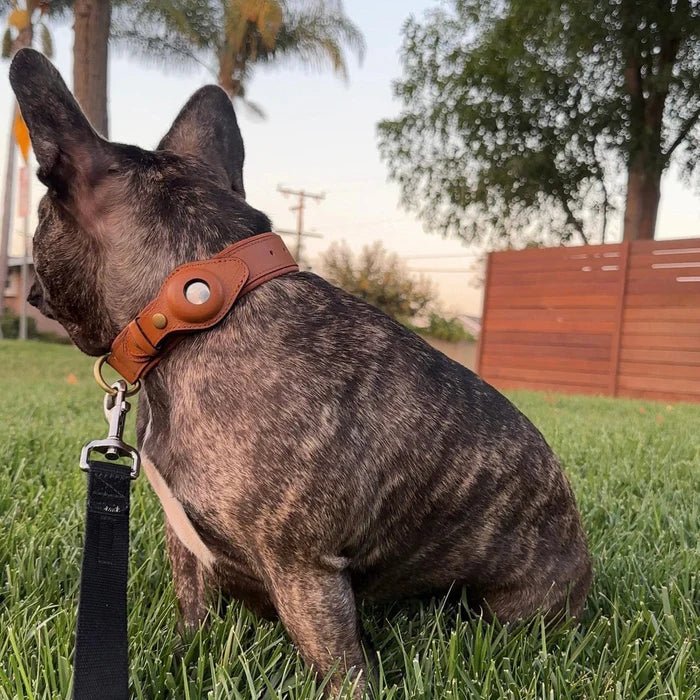 Premium Hondenkraag voor Airtag - Duurzaam Waterdicht en Comfortabel voor Honden 8