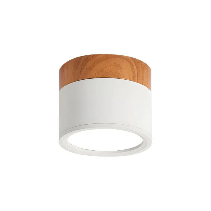Scandinavische LED Plafondlamp Cilinder – Energiezuinige Plafonniere voor Moderne Ruimtes 13