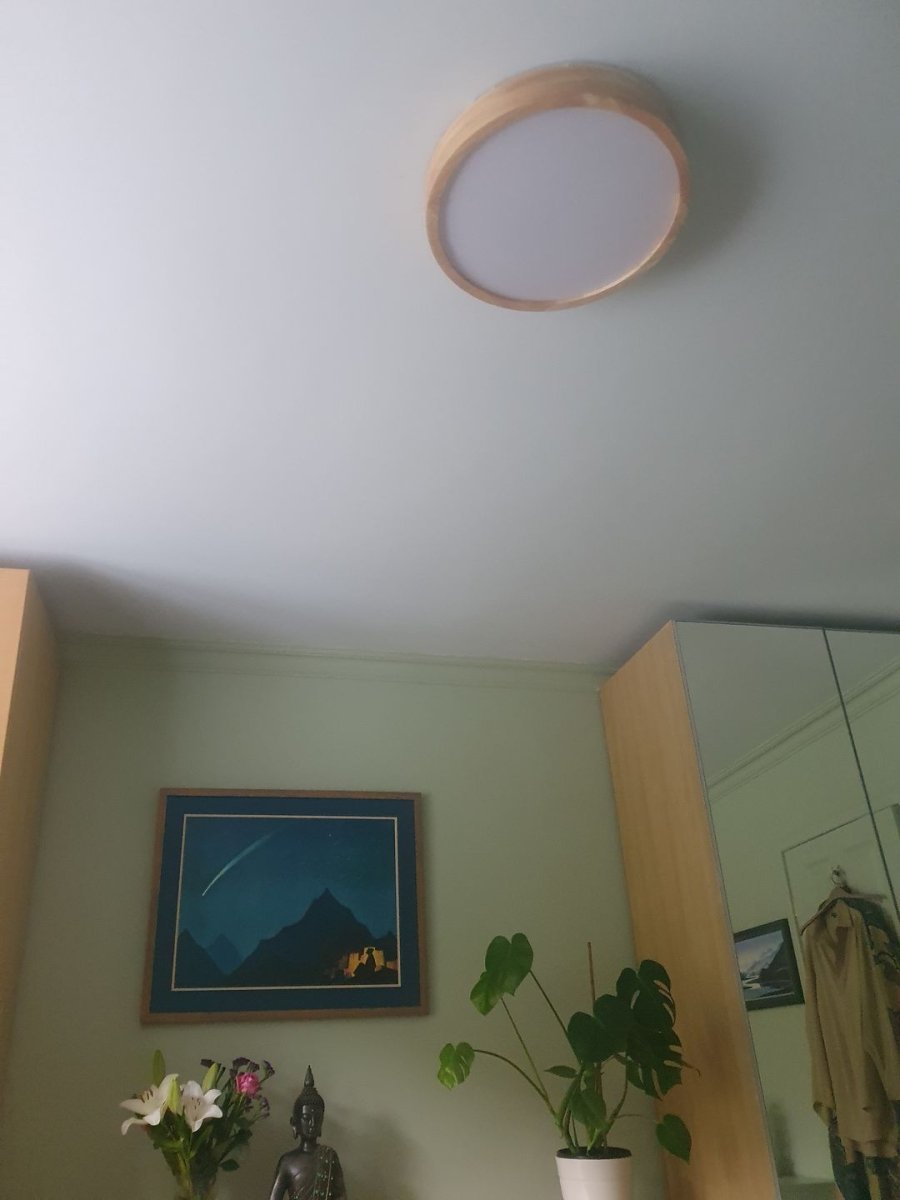 Dimbare LED Plafondlamp van Hout met Matte Acryl Diffuser - Scandinavische Plafonniere voor Binnen 3