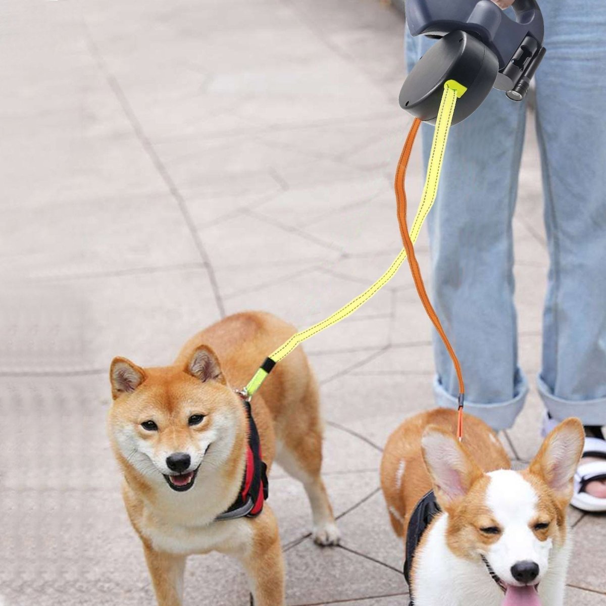 Dubbele Uittrekbare Hondenriem met LED Zaklamp voor Twee Honden – Reflecterende Hondenlijnen van 3 Meter 4