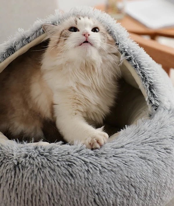 Kalmerend Nesthond en Kattenbed met Orthopedische Vulling – Zacht en Veilig 1