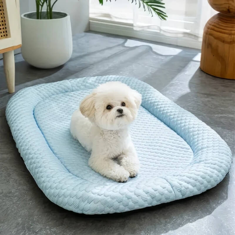 Koelhondenbed met Temperatuurregeling en Antislip Ondergrond – Ideaal voor Warmere Dagen 0