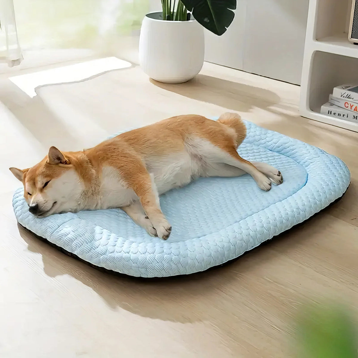 Koelhondenbed met Temperatuurregeling en Antislip Ondergrond – Ideaal voor Warmere Dagen 2