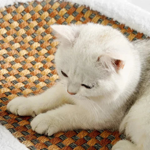Luxe Krabbed voor Katten met Pluche Beddengoed en Modern Ontwerp voor Comfort en Spelplezier 1