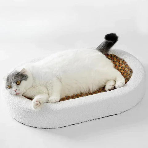 Luxe Krabbed voor Katten met Pluche Beddengoed en Modern Ontwerp voor Comfort en Spelplezier 2
