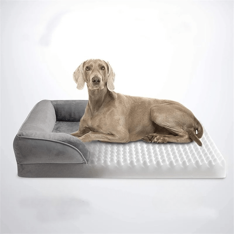 Orthopedisch Hondenbed met Afneembare Hoes – Comfortabel en Ondersteunend voor Honden 4