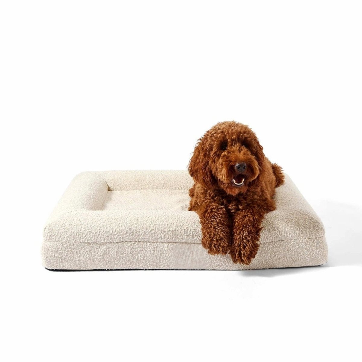 Orthopedisch Hondenkussen met Memory Foam en Wasbare Bouclé Hoes 1
