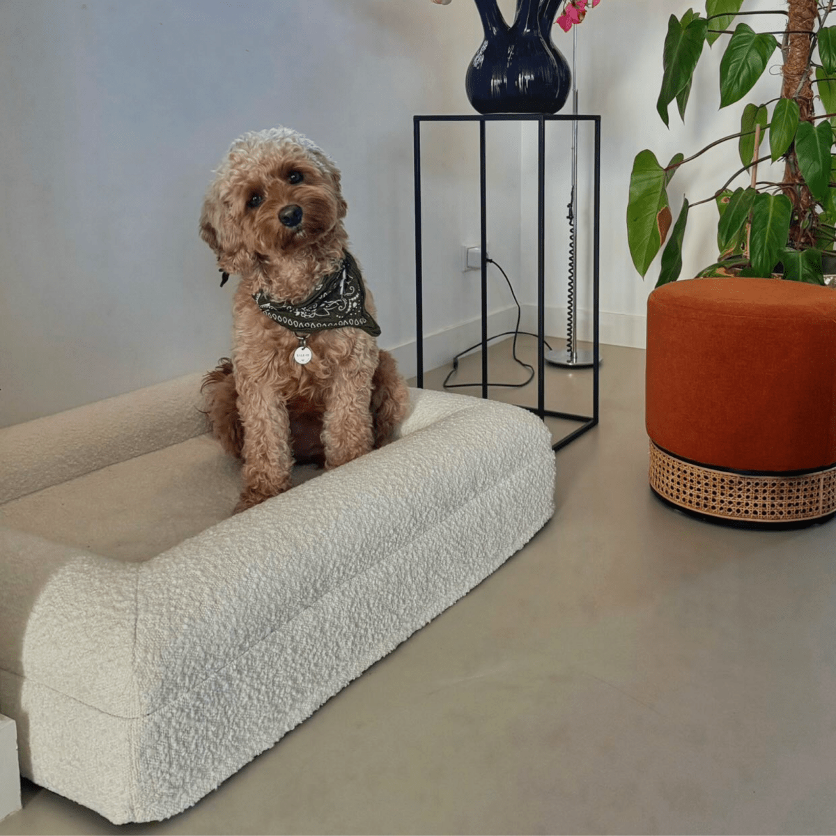 Orthopedisch Hondenkussen met Memory Foam en Wasbare Bouclé Hoes 2