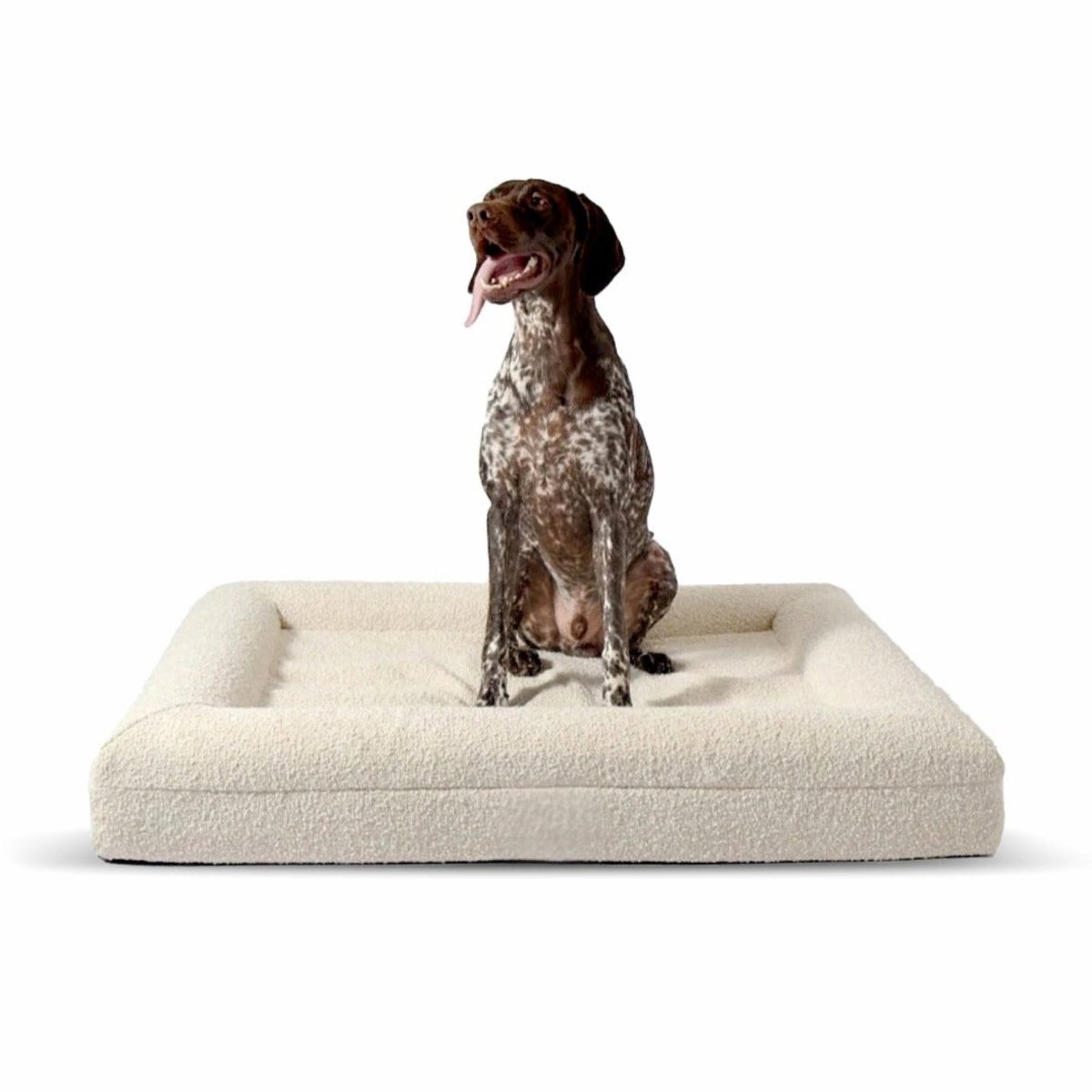 Orthopedisch Hondenkussen met Memory Foam en Wasbare Bouclé Hoes 5