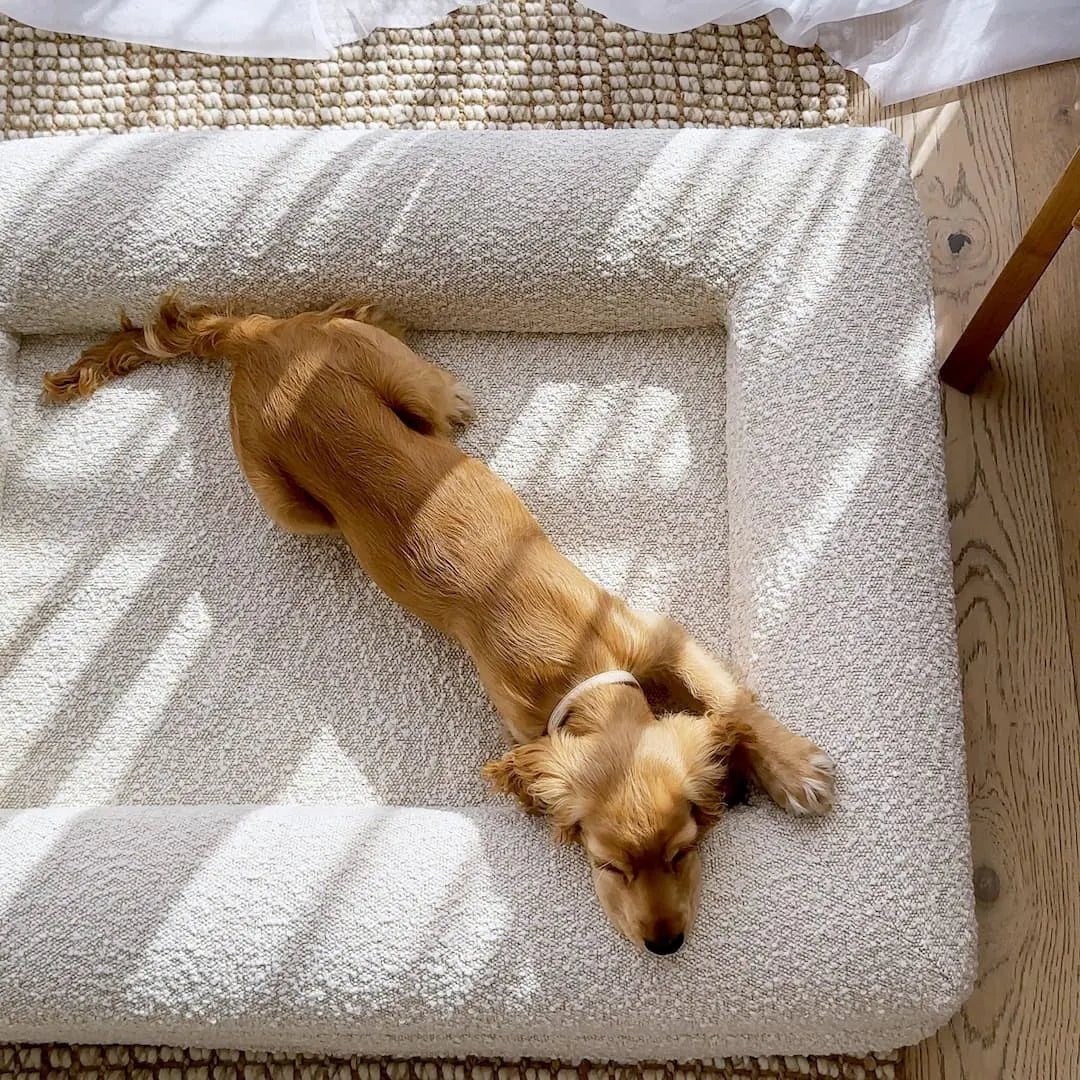 Orthopedisch Hondenkussen met Memory Foam en Wasbare Bouclé Hoes 7