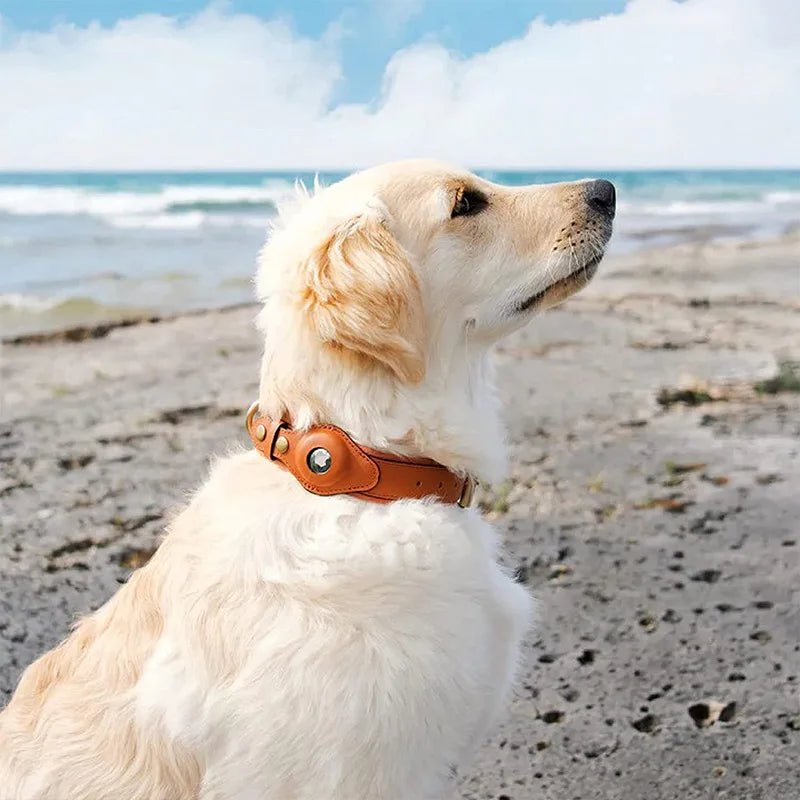 Premium Hondenkraag voor Airtag - Duurzaam Waterdicht en Comfortabel voor Honden 1
