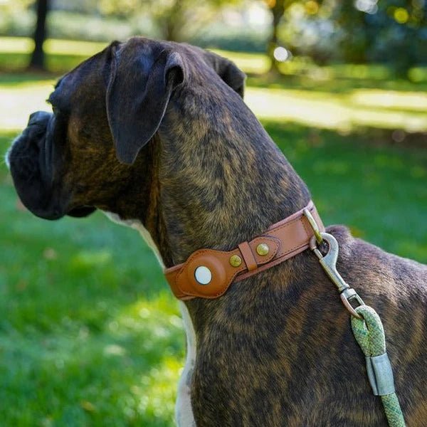 Premium Hondenkraag voor Airtag - Duurzaam Waterdicht en Comfortabel voor Honden 9